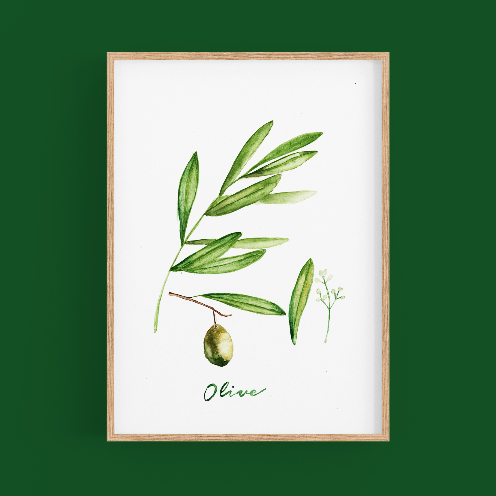 olive tree